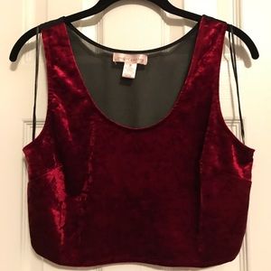 Velvet crop top! Mesh back!